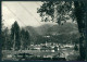 Verbania Druogno Valle Dei Pittori Colonia PIEGA Foto FG Cartolina KV8183 - Verbania