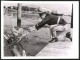 Fotografie Ansicht San Francisco, CA, Hochwasser Des Sacramento River, Stromwache Rettet Angeschwemmtes Huhn  - Lieux