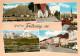 73857878 Freilassing Untersberg Salzburghofen Ruperti Kirche Staufen Und Zwiesel - Freilassing