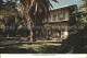 72239930 Key_West Ernest Hemingway House  - Autres & Non Classés