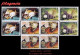 CUBA. BLOQUES DE CUATRO. 2009-13 FAUNA. GATOS - Unused Stamps