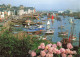 29 DOUARNENEZ LE PORT - Douarnenez