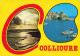 66 COLLIOURE  - Collioure