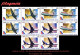 CUBA. BLOQUES DE CUATRO. 2009-30 80 ANIVERSARIO DE CUBANA DE AVIACIÓN. AVIONES - Unused Stamps