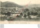 88.  REMIREMONT . Panorama .  Vue Prise Du Parmont . - Remiremont