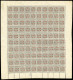 Island, 1902, 27 B (100), Postfrisch - Other & Unclassified