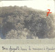 Delcampe - Photos Originales 1900 Nice Monaco Corse Italie Plus De 70 Photos - Places