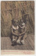 'Shall We Have A Good Time?' - (Zulu Boy And Girl) - (South-Africa) - Publ.: Hallis & Co., Port Elizabeth. - South Africa