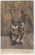 'Shall We Have A Good Time?' - (Zulu Boy And Girl) - (South-Africa) - Publ.: Hallis & Co., Port Elizabeth. - Sud Africa