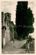 13726911 Brissago Lago Maggiore Chiesa Ed I Cipressi Brissago Lago Maggiore - Other & Unclassified