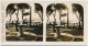 Photo Stéréoscopique 7,3x7,4cm Carte 17x8,7 Cm S.51 - 3350 BIARRITZ, Vue Sous Les Tamaris - Fotos Estereoscópicas