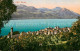 13709940 Gersau Vierwaldstaettersee Panorama Alpen Gersau Vierwaldstaettersee - Sonstige & Ohne Zuordnung