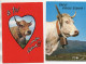 LOT De 6 Cartes Postales Sur Les Vaches - Vaches
