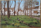 BELGIUM BELGIQUE BRUGGE BEGINENHOF TEN WIJNGAARDE POSTCARD CARTE POSTALE ANSICHTSKARTE CARTOLINA POSTKARTE CARD KARTE - Antwerpen