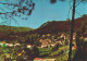 VALE DO CEIRA,GOIS, Coimbra - Vista Parcial  ( 2 Scans ) - Coimbra