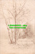 R516378 Birch Grove. Postcard. 1905 - Welt