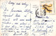 STAMPS REPTILES, LIZARDS, TUSNAD ROMANIA POSTCARD - Romania