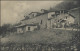 Ansichtskarte Feldpost Armierungstruppen Holzhütte Friedrichsruh, 14.8.1917 - Occupazione 1914 – 18