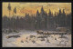 Tiere-AK Holztranport Durch Rinder Im Winter, WIEN 1.6.1904 N. LAUCHHEIM 2.6.04 - Autres & Non Classés
