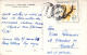 STAMPS REPTILES, LIZARDS, GOVORA ROMANIA POSTCARD - Romania