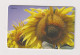 ROMANIA -  Sunflowers Chip  Phonecard - Roemenië