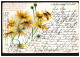 Blumen-AK Margeriten, NAHRENDORF(HANNOVER) 5.6.1902 Nach CELLE 6.6.02 - Andere & Zonder Classificatie