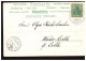 Blumen-AK Margeriten, NAHRENDORF(HANNOVER) 5.6.1902 Nach CELLE 6.6.02 - Altri & Non Classificati