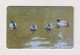 ROMANIA -  Water Birds Chip  Phonecard - Roemenië