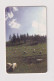 ROMANIA - Sheep Chip  Phonecard - Roumanie