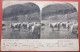 CARTE STEREOSCOPIQUE VACHES, ALPES SUISSES (SCHWEIZ ALPENSCENE) En 1899 - SCANS RECTO VERSO - Cartes Stéréoscopiques