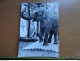 Delcampe - Doos Postkaarten (2kg335) Allerlei Landen En Thema's (ook Naakt, Nude), Zie Enkele Foto's - 500 Postales Min.