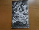 Delcampe - Doos Postkaarten (2kg335) Allerlei Landen En Thema's (ook Naakt, Nude), Zie Enkele Foto's - 500 Karten Min.
