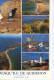 0-56186 02+14 - QUIBERON - LOT DE 5 CARTES - Quiberon