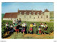 21 Vendanges En Bourgogne CLOS De VOUGEOT Vers Nuits St Georges N°2435 Vin Vignes Vendangeuses Photo R. MOISY - Nuits Saint Georges