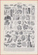 Insecte. Insectes Utiles Et Nuisibles. Dégâts Des Insectes Nuisibles. Illustration Adolphe Millot. Larousse 1948. - Historical Documents