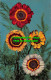 R517281 Colourful Flowers. Kruger. Postcard - World