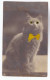 Chat CPA Carte Photo Avec Insert Yeux , Noeud Papillon En Ruban Jaune - Gatti