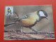 Carte Maximum Avec Affranchissement Oiseaux De Buzin Mésange Charbonnières 1.6.1992 - 1985-.. Birds (Buzin)