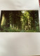 Delcampe - 8 Cartes Postales Nikko National Parc - Autres & Non Classés