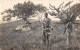 CPA / AFRIQUE DU SUD / CPA ETHNIQUE / CARTE PHOTO / AFRICAIN EN TENUE DE GUERRE - Sudáfrica