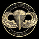 Pièce Médaille NEUVE - US Paratrooper Airborne Parachutistes - Altri & Non Classificati
