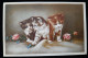 CHATS - Trois  Chatons / Fleurs - Collection CHARME N°819 - Gatos