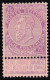 Belgica. 1893-1900 Y&T. 66,  (*) - 1893-1907 Armarios