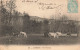 FRANCE - Auvergne - Vue Sur Un Pâturage - Vaches - Vue Générale- Carte Postale Ancienne - Auvergne