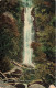AUSTRALIE - Victoria - Erskine Falls - Lorne - Colorisé - Carte Postale Ancienne - Altri & Non Classificati
