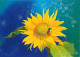Zonnebloem Bij Tournesol Abeille Sunflower Bee 06.12.2001 Not Used - Interi Postali
