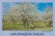 AK 215288 USA - California - San Joaquin Valley - Almond Orchard - Other & Unclassified