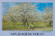 AK 215288 USA - California - San Joaquin Valley - Almond Orchard - Altri & Non Classificati