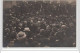 MONTPELLIER : Carte Photo De La Visite Du Président De La République En 1921 - Très Bon état - Montpellier