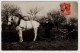 PUTEAUX : Carte Photo  Agriculture (herse Et Attelage) Vers 1910 - Très Bon état - Puteaux